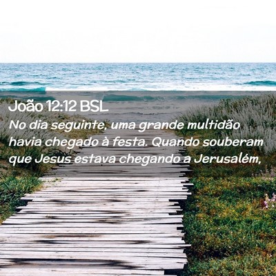 Picture 02 - João 12:12 BSL - No dia seguinte, uma grande multidão havia - Bible Verse Picture