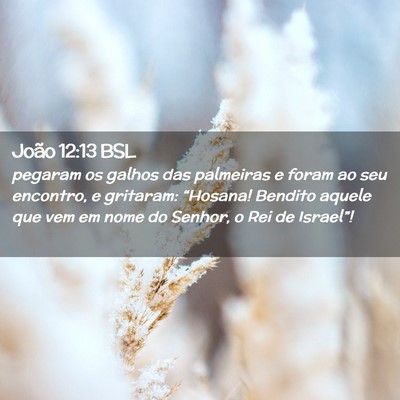 Picture 02 - João 12:13 BSL - pegaram os galhos das palmeiras e foram ao seu - Bible Verse Picture