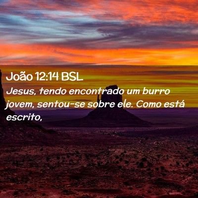Picture 02 - João 12:14 BSL - Jesus, tendo encontrado um burro jovem, sentou-se - Bible Verse Picture