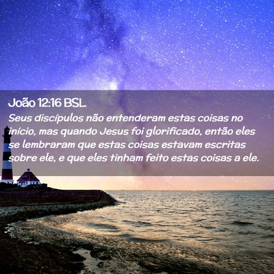 Picture 02 - João 12:16 BSL - Seus discípulos não entenderam estas coisas no - Bible Verse Picture