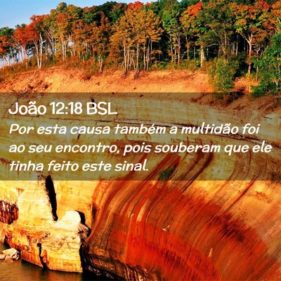Picture 02 - João 12:18 BSL - Por esta causa também a multidão foi ao seu - Bible Verse Picture