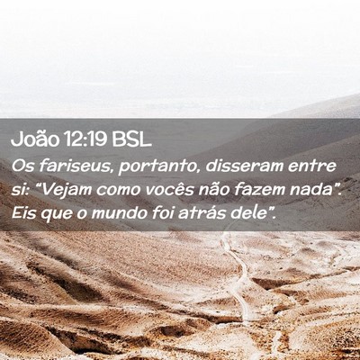 Picture 02 - João 12:19 BSL - Os fariseus, portanto, disseram entre si: - Bible Verse Picture