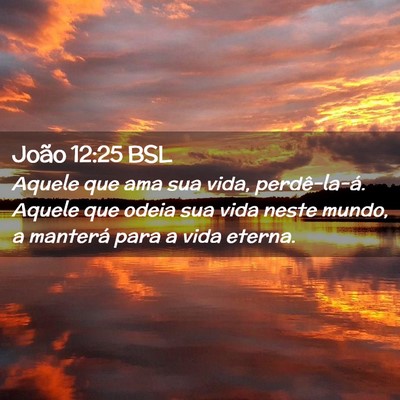 Picture 02 - João 12:25 BSL - Aquele que ama sua vida, perdê-la-á. Aquele que - Bible Verse Picture