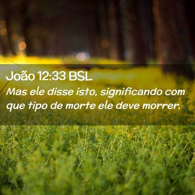 Picture 02 - João 12:33 BSL - Mas ele disse isto, significando com que tipo de - Bible Verse Picture