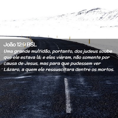 Picture 02 - João 12:9 BSL - Uma grande multidão, portanto, dos judeus soube - Bible Verse Picture
