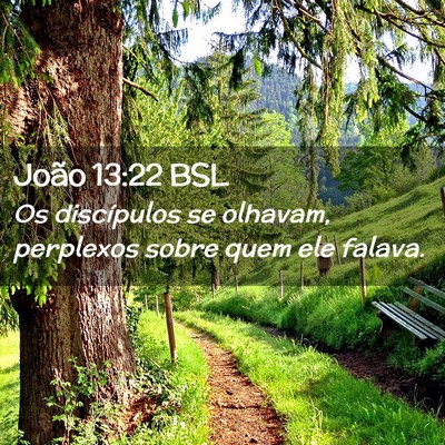 Picture 02 - João 13:22 BSL - Os discípulos se olhavam, perplexos sobre quem - Bible Verse Picture