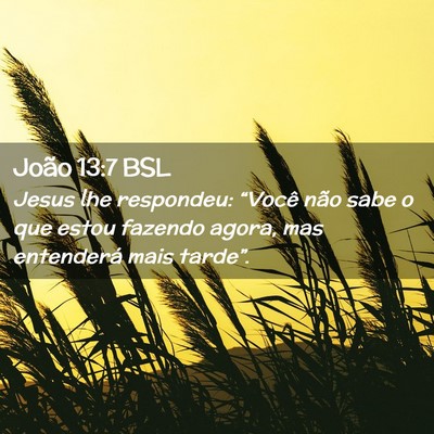 Picture 02 - João 13:7 BSL - Jesus lhe respondeu: “Você não sabe o que - Bible Verse Picture