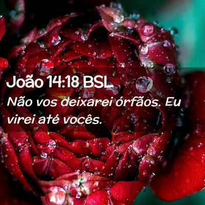 Picture 02 - João 14:18 BSL - Não vos deixarei órfãos. Eu virei até - Bible Verse Picture