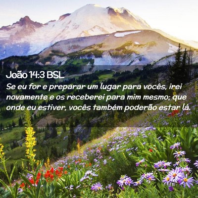 Picture 02 - João 14:3 BSL - Se eu for e preparar um lugar para vocês, irei - Bible Verse Picture
