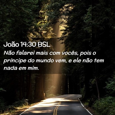 Picture 02 - João 14:30 BSL - Não falarei mais com vocês, pois o príncipe do - Bible Verse Picture