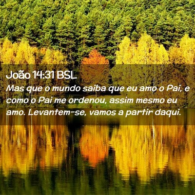 Picture 02 - João 14:31 BSL - Mas que o mundo saiba que eu amo o Pai, e como o - Bible Verse Picture