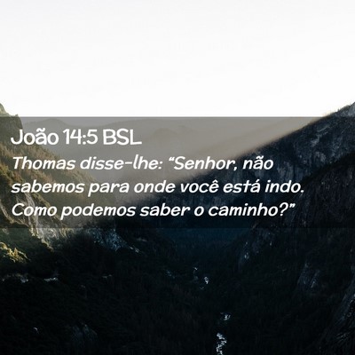 Picture 02 - João 14:5 BSL - Thomas disse-lhe: “Senhor, não sabemos para - Bible Verse Picture