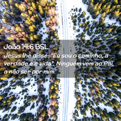 Picture 02 - João 14:6 BSL - Jesus lhe disse: “Eu sou o caminho, a verdade e - Bible Verse Picture