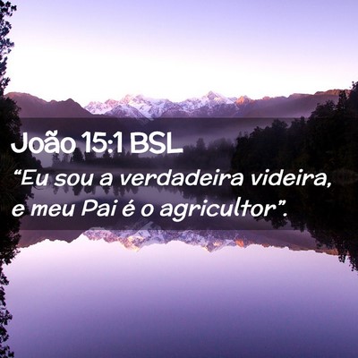 Picture 02 - João 15:1 BSL - “Eu sou a verdadeira videira, e meu Pai é o - Bible Verse Picture