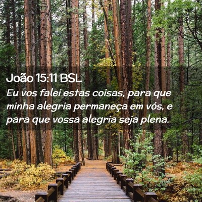 Picture 02 - João 15:11 BSL - Eu vos falei estas coisas, para que minha alegria - Bible Verse Picture