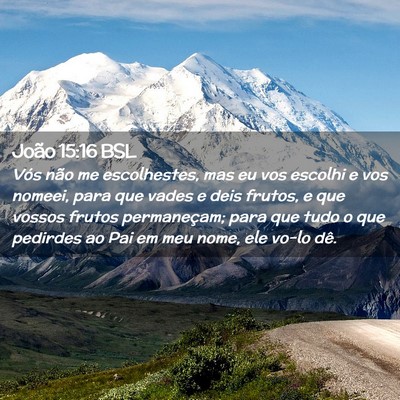 Picture 02 - João 15:16 BSL - Vós não me escolhestes, mas eu vos escolhi e - Bible Verse Picture