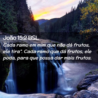 Picture 02 - João 15:2 BSL - Cada ramo em mim que não dá frutos, ele - Bible Verse Picture