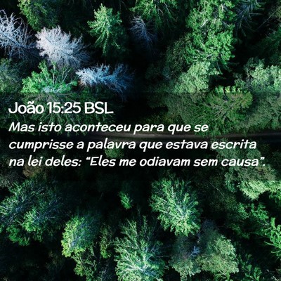 Picture 02 - João 15:25 BSL - Mas isto aconteceu para que se cumprisse a - Bible Verse Picture