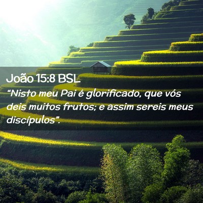 Picture 02 - João 15:8 BSL - “Nisto meu Pai é glorificado, que vós deis - Bible Verse Picture