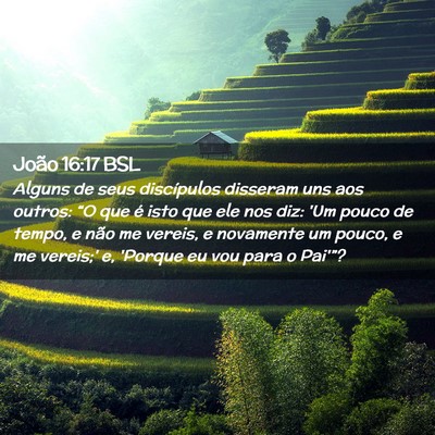 Picture 02 - João 16:17 BSL - Alguns de seus discípulos disseram uns aos - Bible Verse Picture