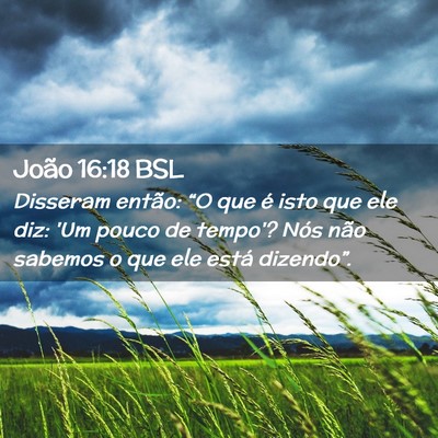Picture 02 - João 16:18 BSL - Disseram então: “O que é isto que ele diz: - Bible Verse Picture