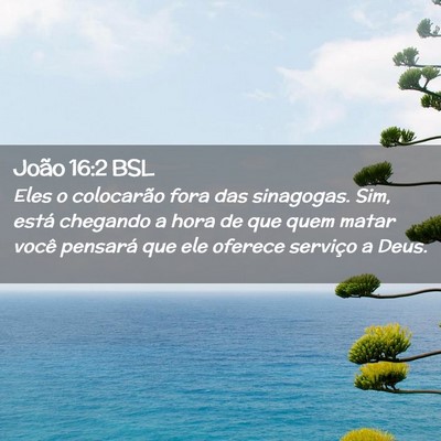 Picture 02 - João 16:2 BSL - Eles o colocarão fora das sinagogas. Sim, está - Bible Verse Picture