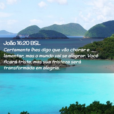 Picture 02 - João 16:20 BSL - Certamente lhes digo que vão chorar e lamentar, - Bible Verse Picture