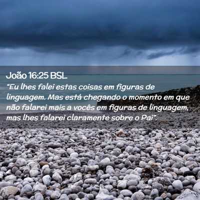 Picture 02 - João 16:25 BSL - “Eu lhes falei estas coisas em figuras de - Bible Verse Picture