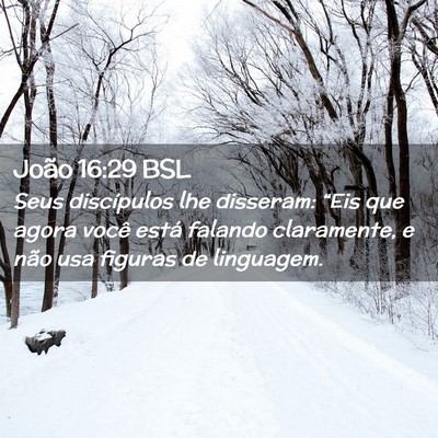 Picture 02 - João 16:29 BSL - Seus discípulos lhe disseram: “Eis que agora - Bible Verse Picture