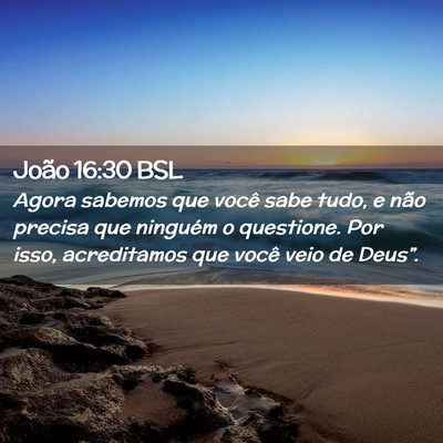 Picture 02 - João 16:30 BSL - Agora sabemos que você sabe tudo, e não precisa - Bible Verse Picture