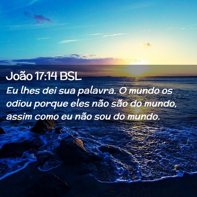 Picture 02 - João 17:14 BSL - Eu lhes dei sua palavra. O mundo os odiou porque - Bible Verse Picture