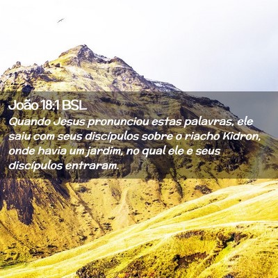 Picture 02 - João 18:1 BSL - Quando Jesus pronunciou estas palavras, ele saiu - Bible Verse Picture