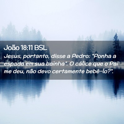 Picture 02 - João 18:11 BSL - Jesus, portanto, disse a Pedro: “Ponha a espada - Bible Verse Picture