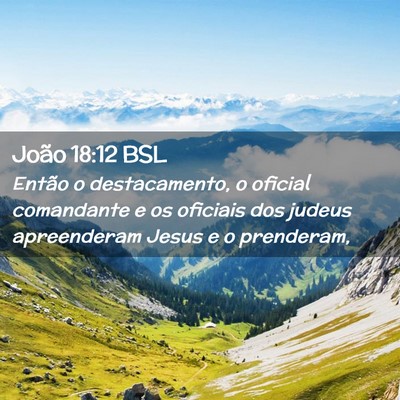 Picture 02 - João 18:12 BSL - Então o destacamento, o oficial comandante e os - Bible Verse Picture