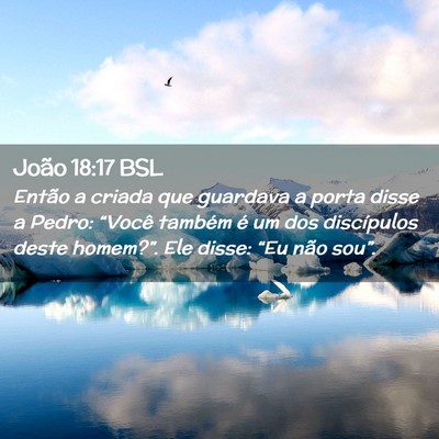 Picture 02 - João 18:17 BSL - Então a criada que guardava a porta disse a - Bible Verse Picture