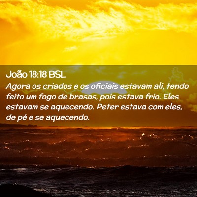 Picture 02 - João 18:18 BSL - Agora os criados e os oficiais estavam ali, tendo - Bible Verse Picture