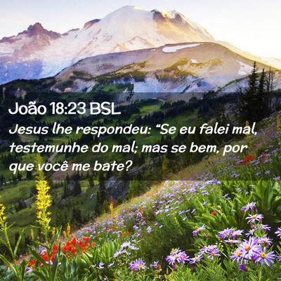 Picture 02 - João 18:23 BSL - Jesus lhe respondeu: “Se eu falei mal, - Bible Verse Picture