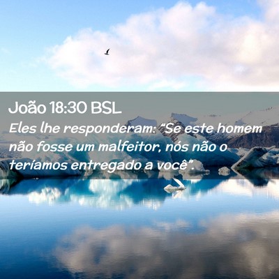 Picture 02 - João 18:30 BSL - Eles lhe responderam: “Se este homem não fosse - Bible Verse Picture