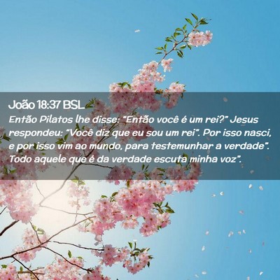 Picture 02 - João 18:37 BSL - Então Pilatos lhe disse: “Então você é um - Bible Verse Picture