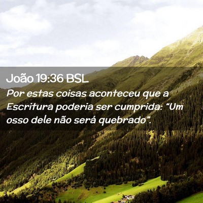 Picture 02 - João 19:36 BSL - Por estas coisas aconteceu que a Escritura - Bible Verse Picture