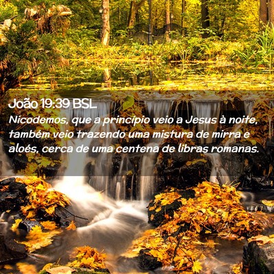 Picture 02 - João 19:39 BSL - Nicodemos, que a princípio veio a Jesus à - Bible Verse Picture