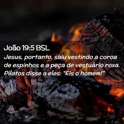 Picture 02 - João 19:5 BSL - Jesus, portanto, saiu vestindo a coroa de - Bible Verse Picture