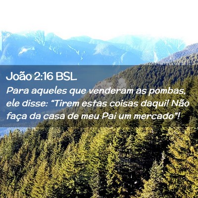 Picture 02 - João 2:16 BSL - Para aqueles que venderam as pombas, ele disse: - Bible Verse Picture