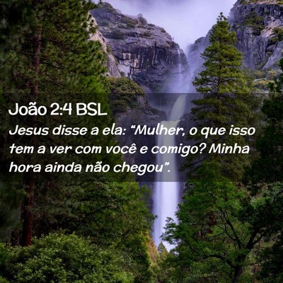 Picture 02 - João 2:4 BSL - Jesus disse a ela: “Mulher, o que isso tem a - Bible Verse Picture