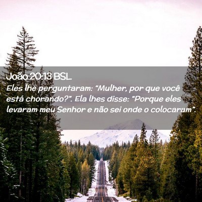 Picture 02 - João 20:13 BSL - Eles lhe perguntaram: “Mulher, por que você - Bible Verse Picture