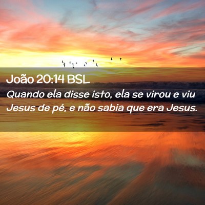 Picture 02 - João 20:14 BSL - Quando ela disse isto, ela se virou e viu Jesus - Bible Verse Picture