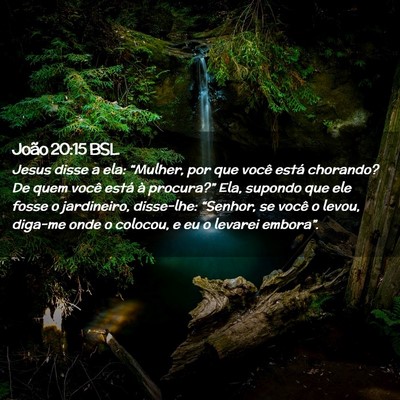 Picture 02 - João 20:15 BSL - Jesus disse a ela: “Mulher, por que você está - Bible Verse Picture