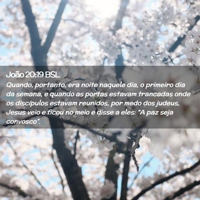 Picture 02 - João 20:19 BSL - Quando, portanto, era noite naquele dia, o - Bible Verse Picture