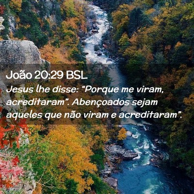 Picture 02 - João 20:29 BSL - Jesus lhe disse: “Porque me viram, - Bible Verse Picture