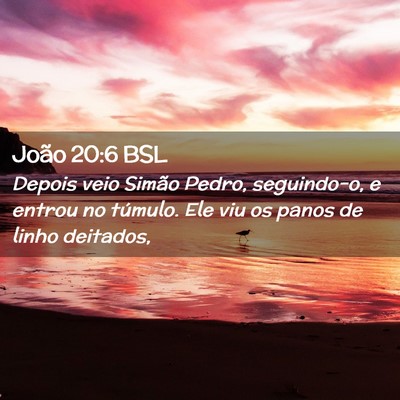 Picture 02 - João 20:6 BSL - Depois veio Simão Pedro, seguindo-o, e entrou no - Bible Verse Picture